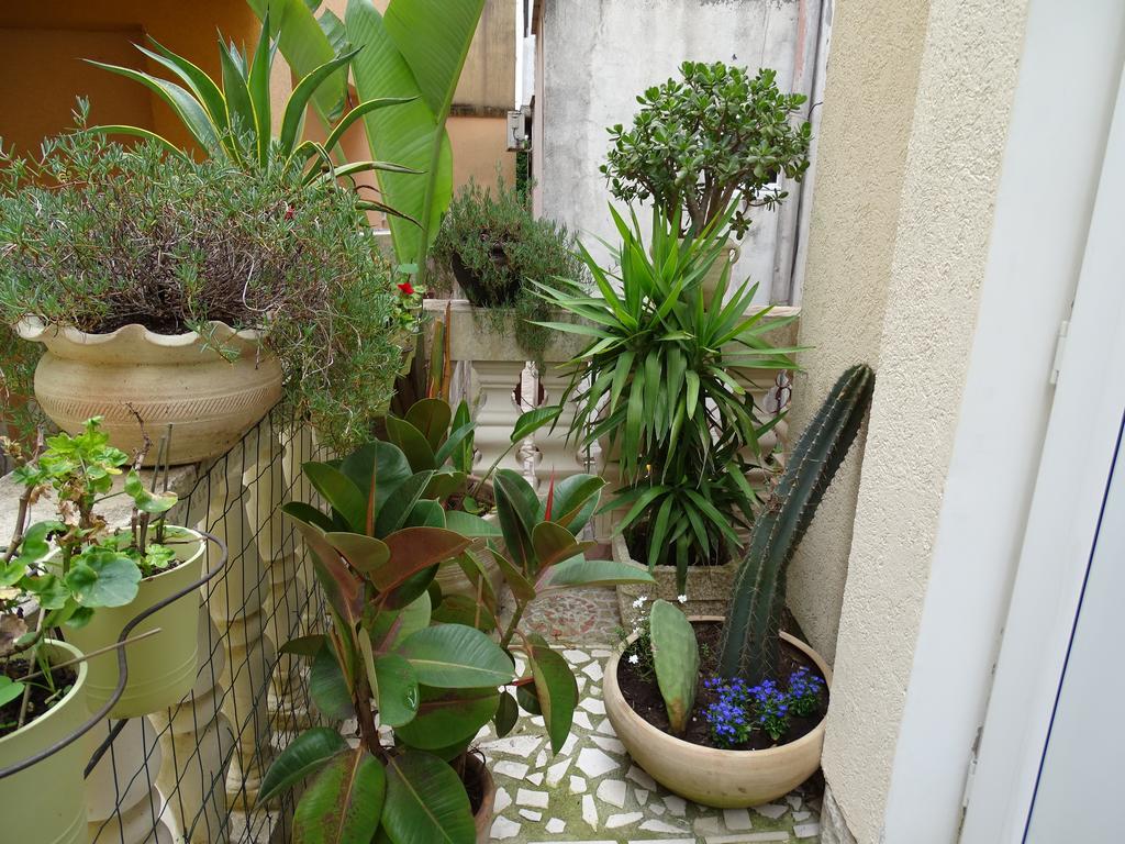 Apartament - Lisa Budva Extérieur photo
