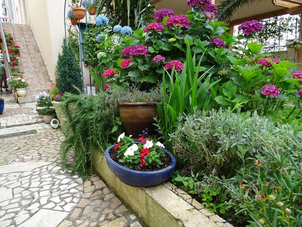 Apartament - Lisa Budva Extérieur photo