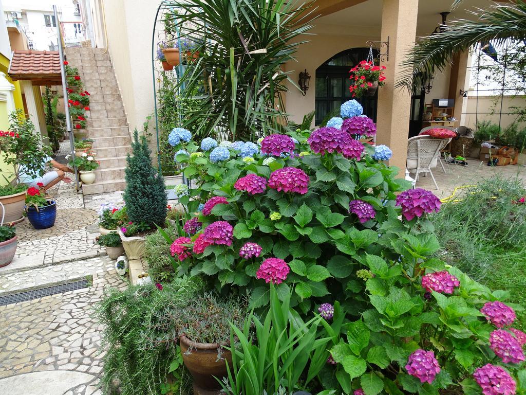 Apartament - Lisa Budva Extérieur photo
